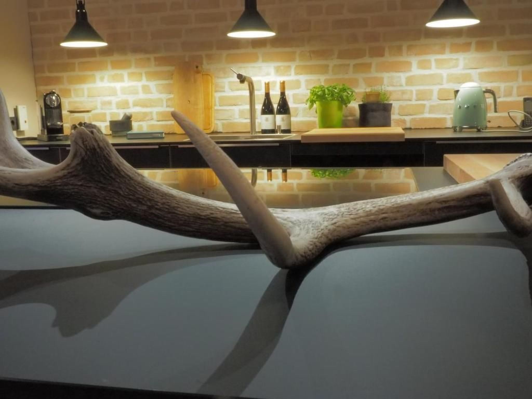 Een moderne keuken met een groot hertengewei als blikvanger, een bakstenen muur, hanglampen en keukenapparatuur.