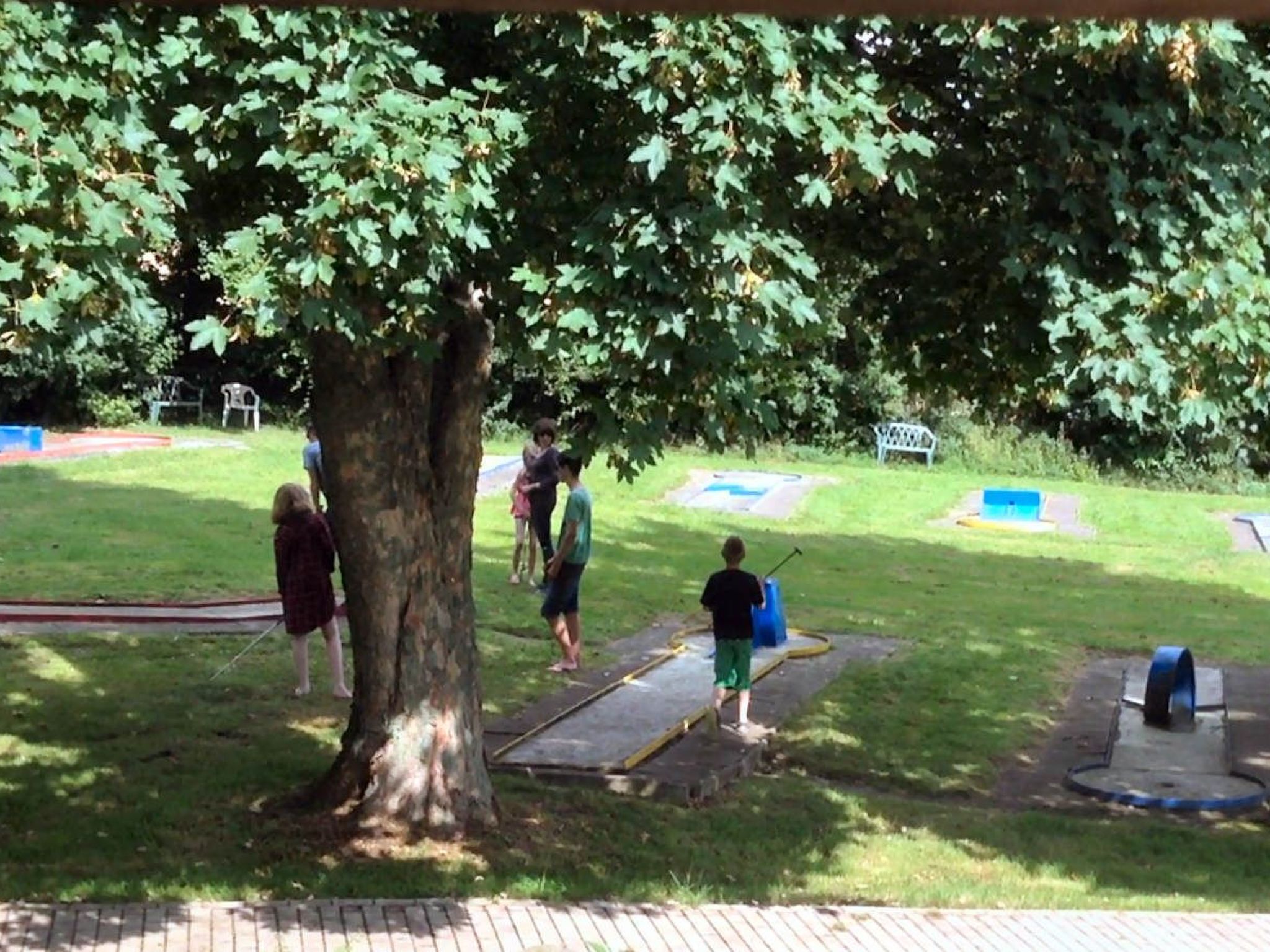 A park with a large tree, a trampoline, and a blue play structure.