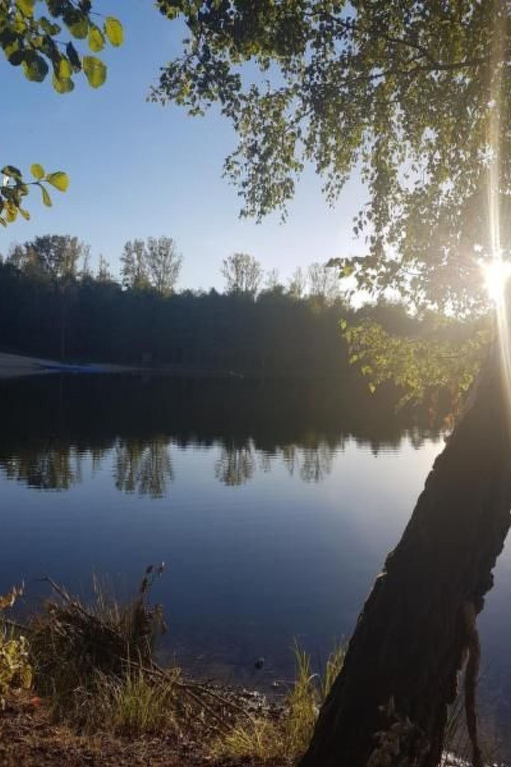 A calm lake with trees reflecting on the water, surrounded by a natural landscape.