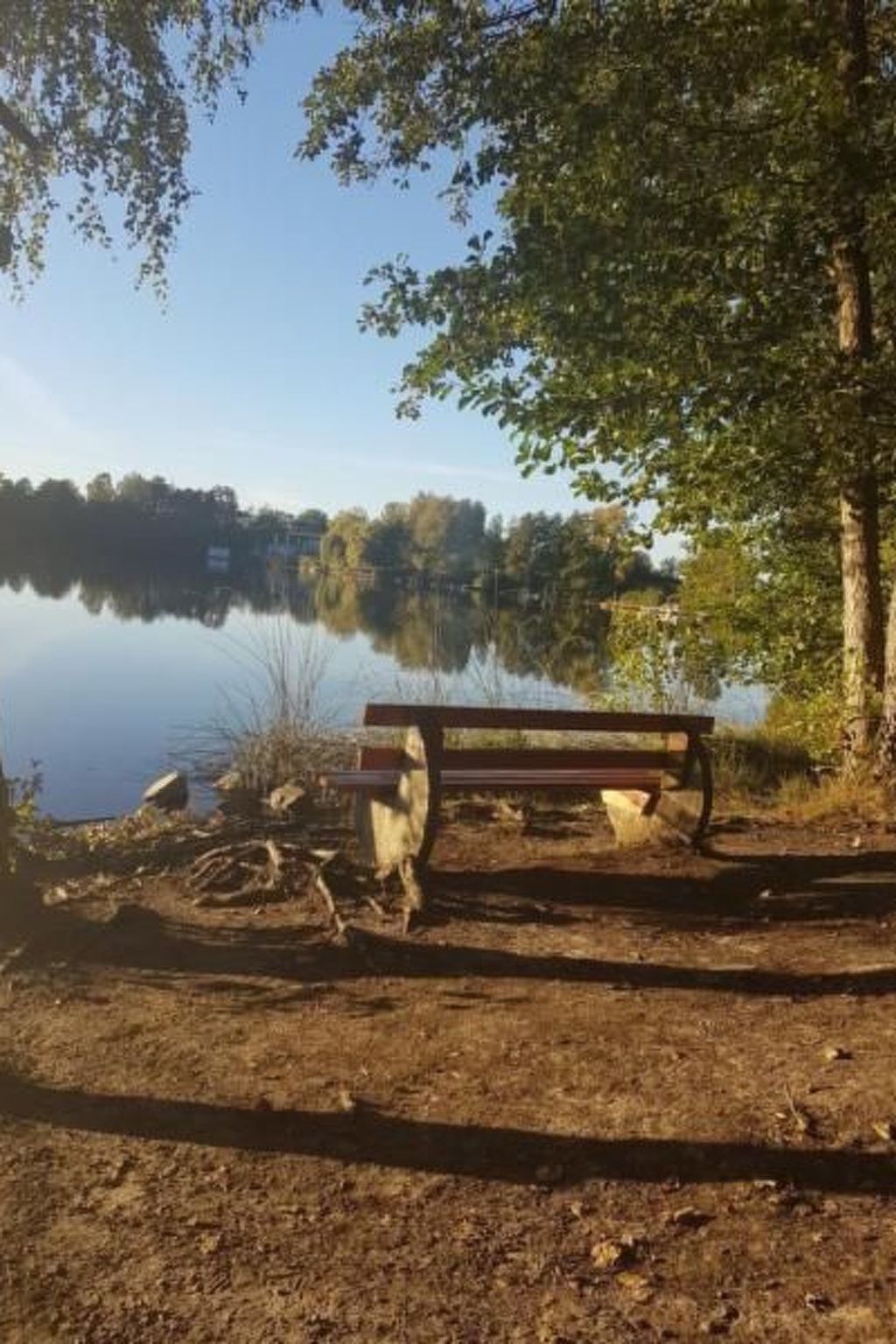 A bench by a lake with trees and a clear sky.
