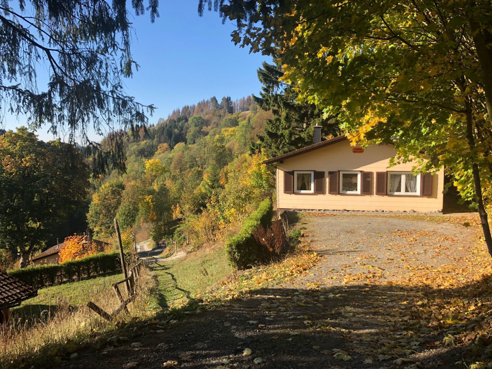 Ein Haus mit befestigter Auffahrt, umgeben von Bäumen im Herbstlaub.