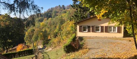 Ein Haus mit befestigter Auffahrt, umgeben von Bäumen im Herbstlaub.