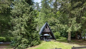 Una cabaña de techo triangular rodeada de un bosque denso.