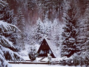 Una baita in una foresta innevata, con un tetto spiovente, circondata da alberi ricoperti di neve.