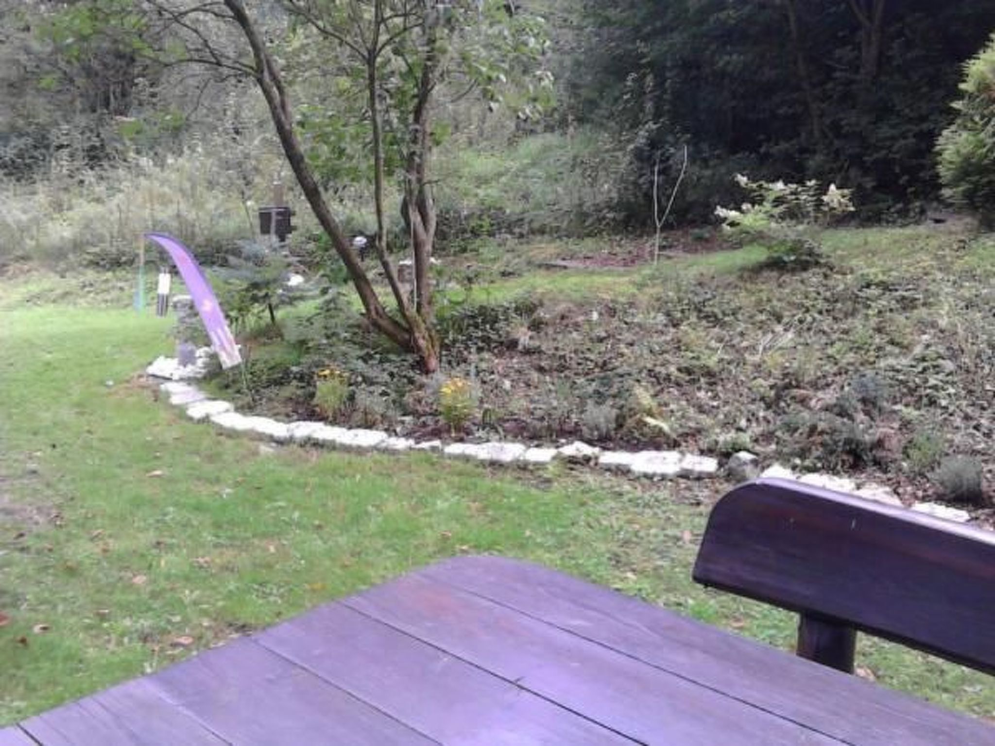 A garden with a stone border, a wooden bench, and a purple structure.