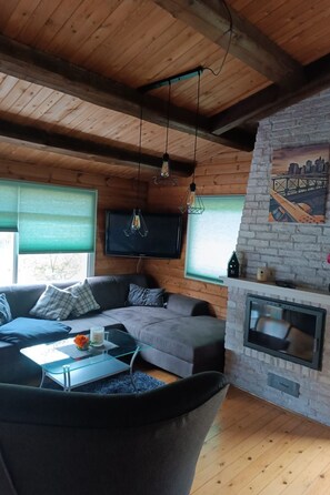 TV, fireplace - Dachsbau by Interhome (Winsen / Aller)
