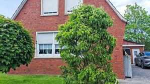 A red brick building with two windows and a tree in front. - Apartment Marion by Interhome (Greetsiel)