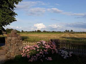 Property grounds - Vogelsang by Interhome (Stoltebüll)