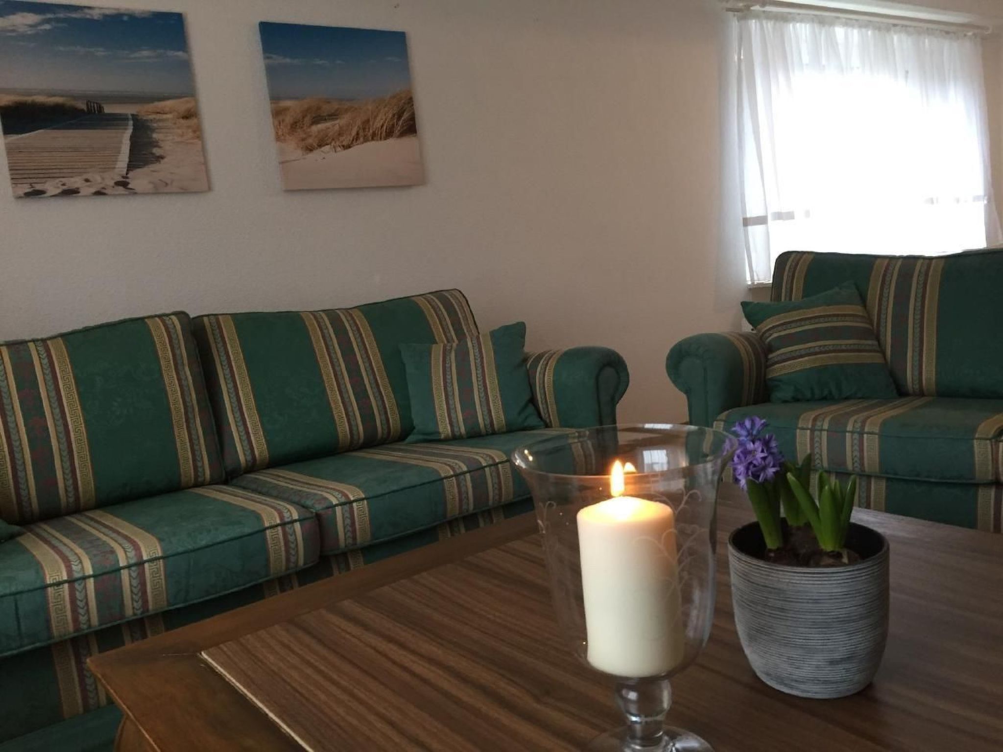 Ein Wohnzimmer mit einem grünen Sofa, einem Glastisch mit einer Kerze und einer Zimmerpflanze.