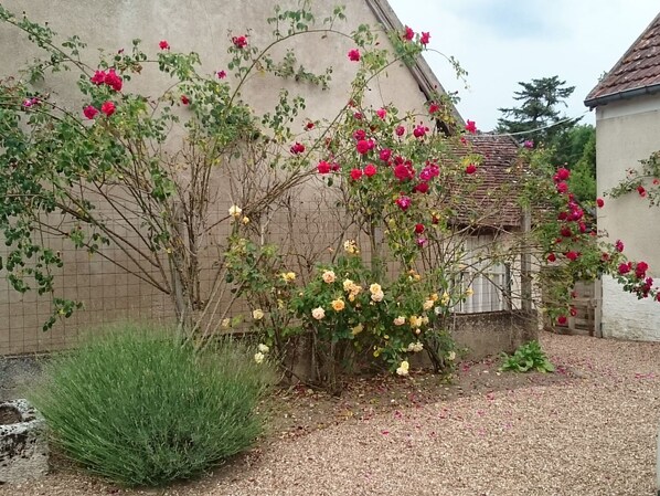 Property grounds - Maison le Pressoir in Vallières-les-Grandes by Interhome (Vallières les Grandes)