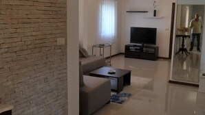 Televisión, chimenea, reproductor de DVD