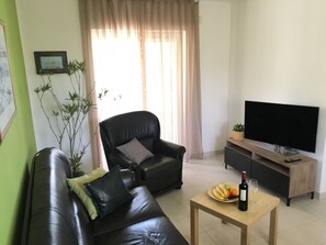 Fernseher, Kamin, DVD-Player