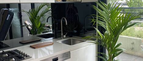 Fridge, oven, stovetop, dishwasher