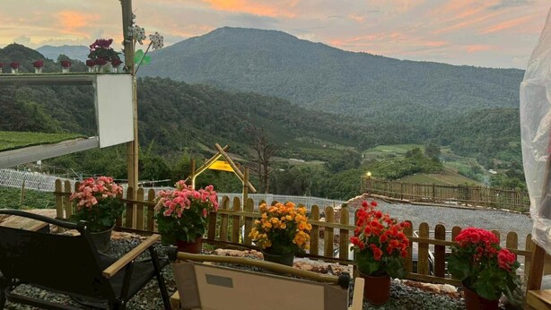 A terrace with potted flowers, a wooden fence, and a view of a mountain range.