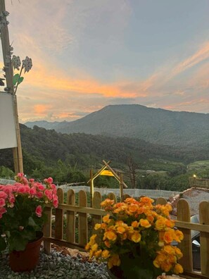 Blick auf den Garten