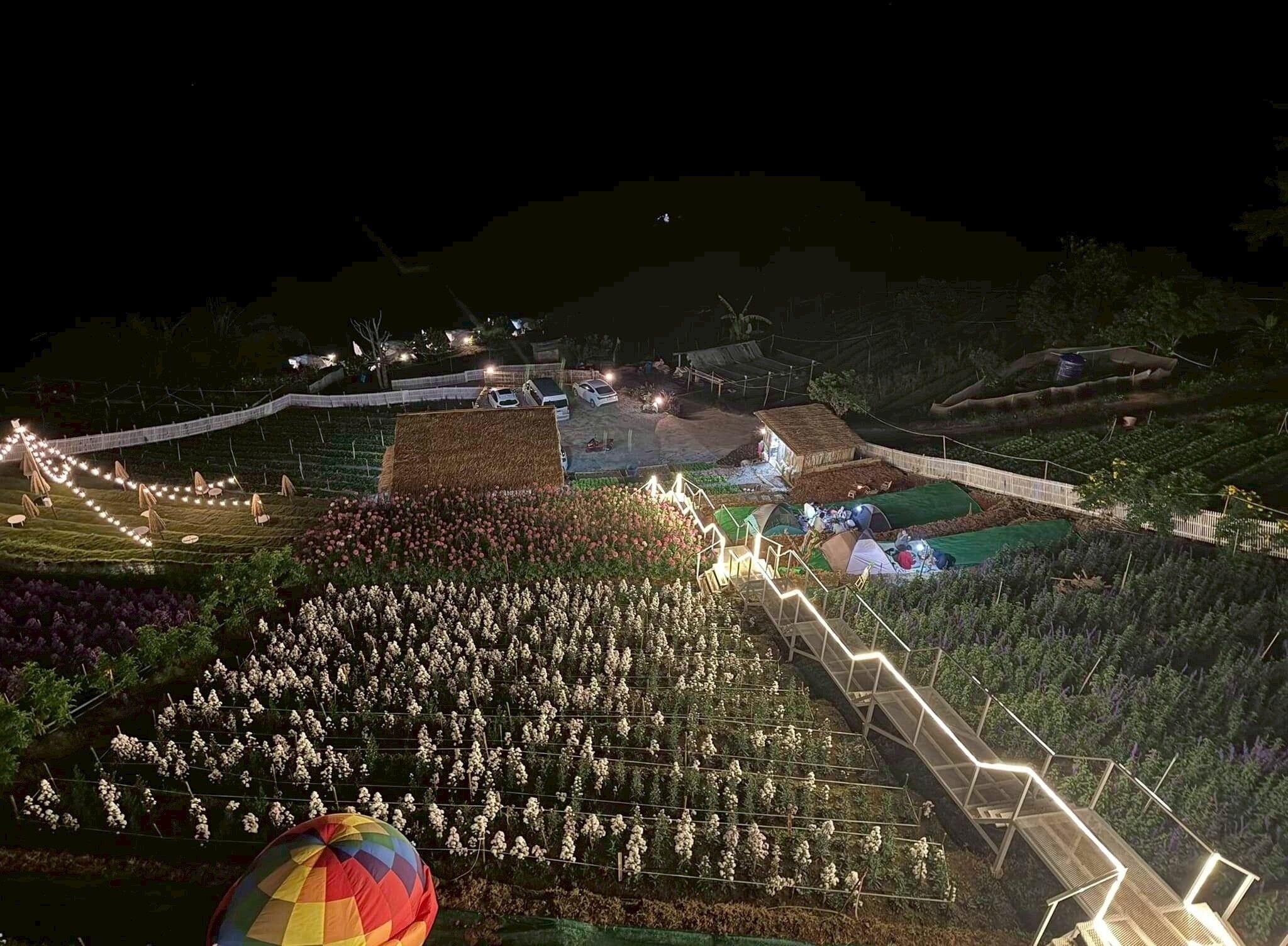 A nighttime view of a terraced agricultural landscape with illuminated pathways and structures.