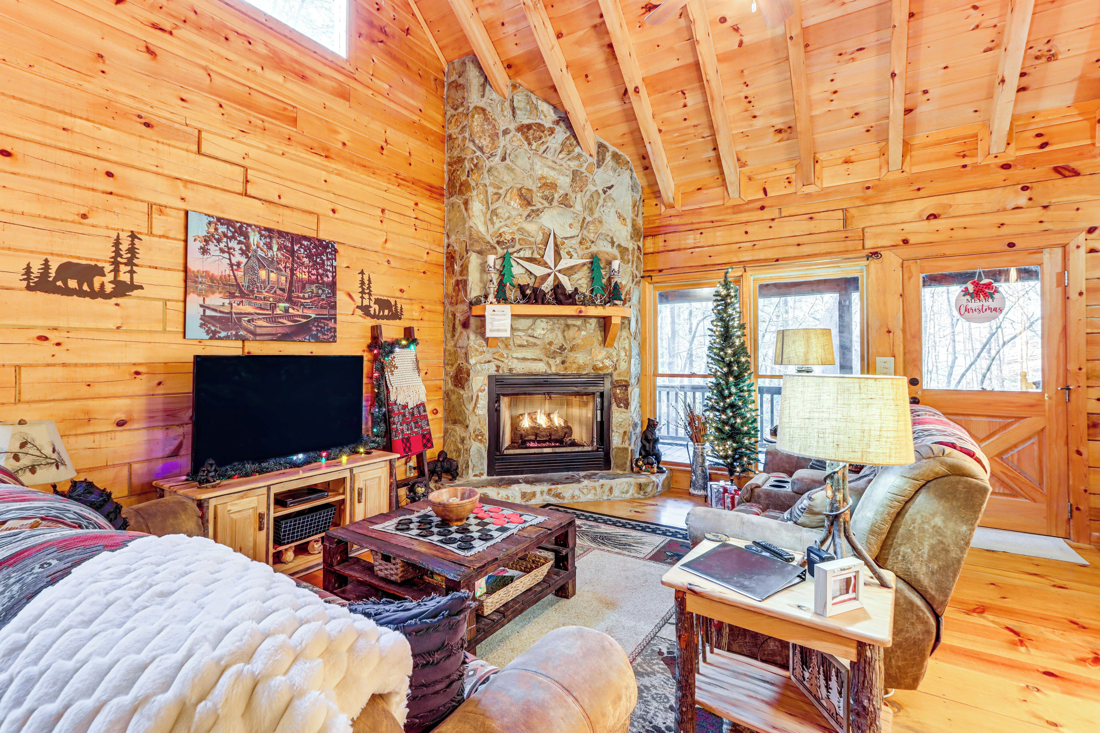 TV, fireplace, video games, books