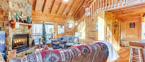 TV, fireplace, video games, books