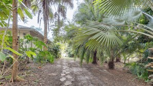 Un sendero de piedra que atraviesa un exuberante jardín con diversas plantas y árboles tropicales.