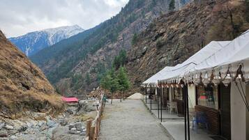 Luxury Camp Cottage Waterfall View | Free WiFi