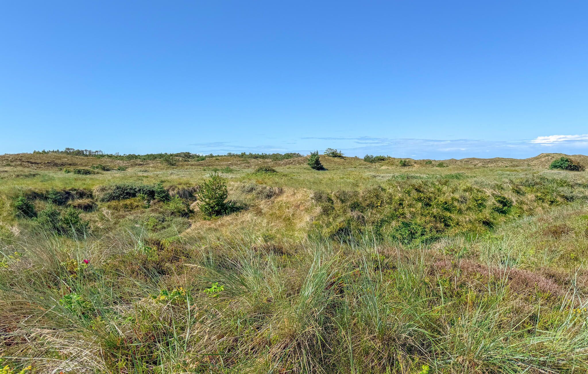 Un paysage naturel caractérisé par des collines douces et une végétation clairsemée.