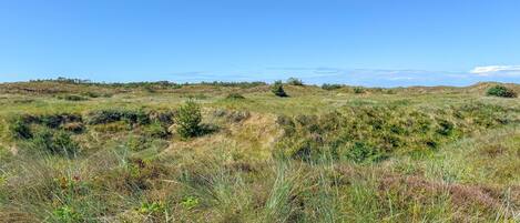 Un paysage naturel caractérisé par des collines douces et une végétation clairsemée.