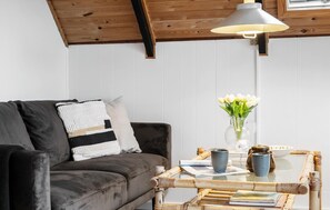 TV, fireplace - 2 bedroom pet friendly home in Thisted (Thisted)