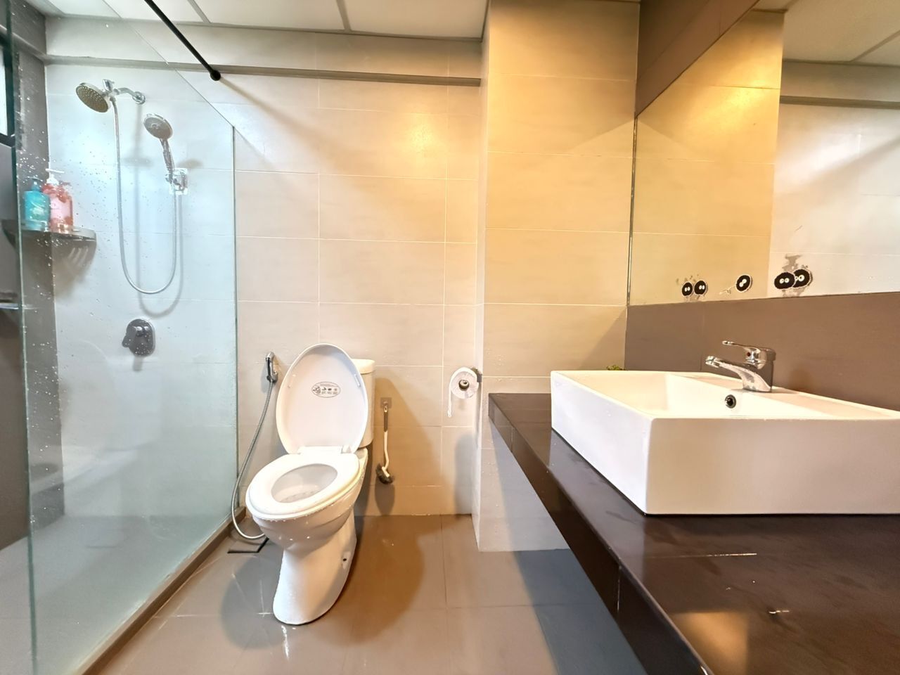 A modern bathroom with a glass-enclosed shower, a white toilet, and a large rectangular sink with a mirror above it.