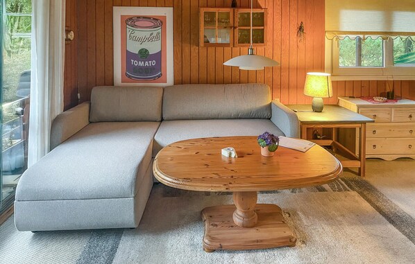 Fernseher, Kamin