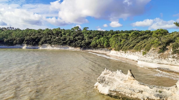 Una platja costanera amb aigua cristal·lina, un penya-segat rocos i un penya-segat boscós.