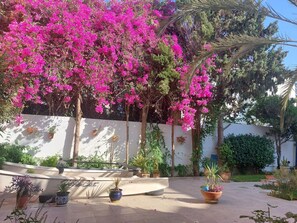Property grounds - "Gartengeschoss" by Interhome (Chott Mariem)