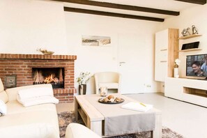 TV connectée, cheminée, lecteur de DVD, chaîne hi-fi