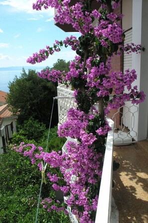 Property grounds - Wohnung "Dobrila" direkt am Strand by Interhome (Podgora)