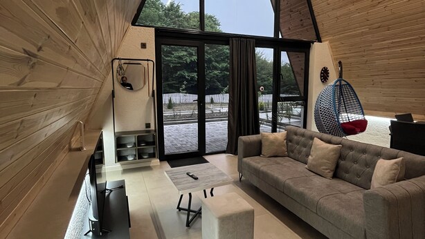 A modern living room with a sloped ceiling, a grey sofa, a coffee table, a TV, and a hanging chair. - AFORREST FAMILY RESORT (Qusar)