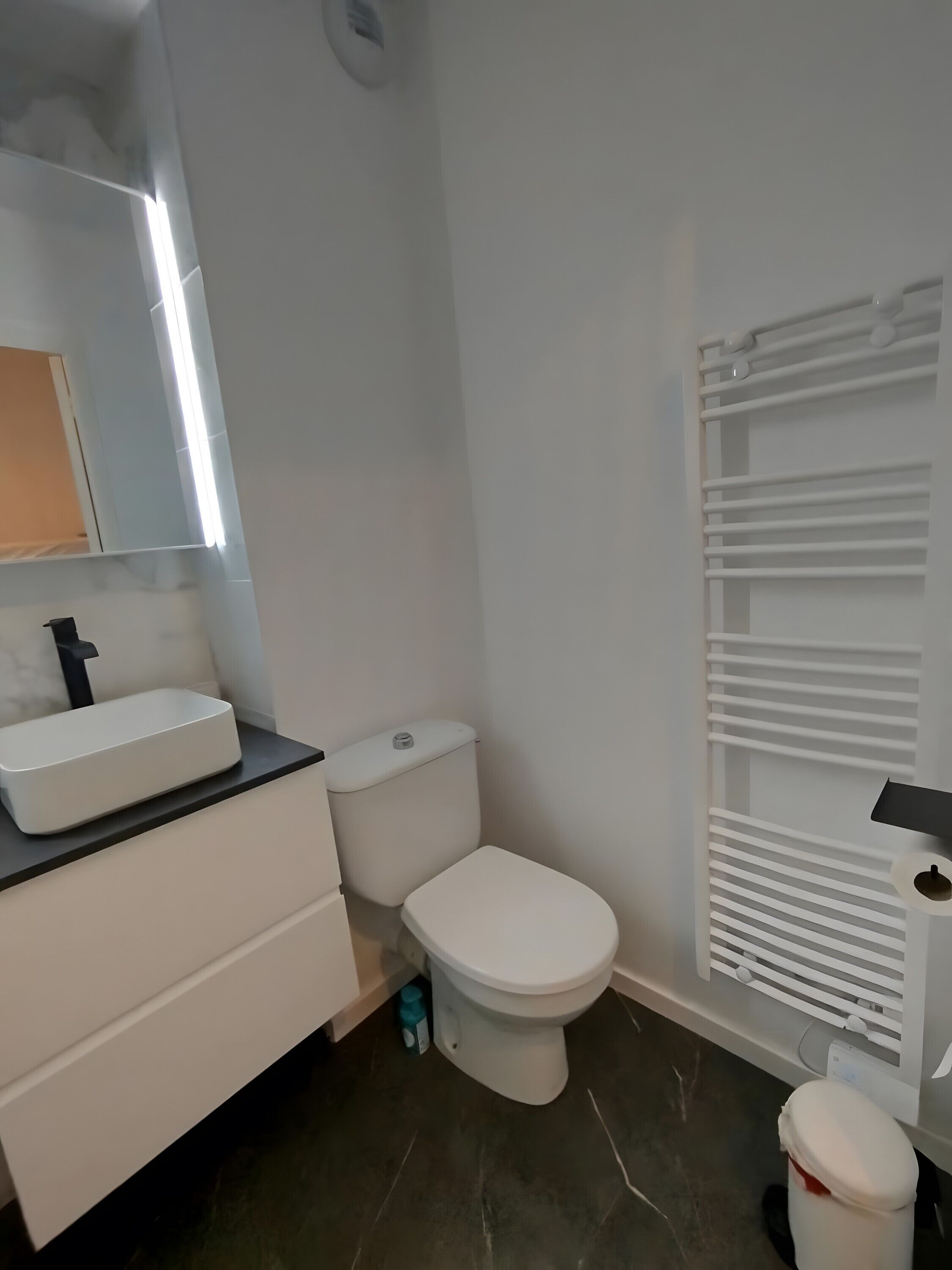 Regadera y secadora de cabello 