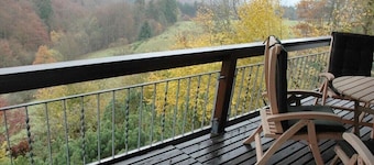 Holiday home in Schmallenberg with barbecue
