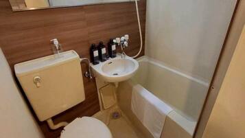 Apartment | Bathroom | Combined shower/bathtub, hair dryer, towels, shampoo