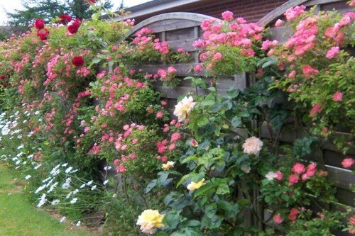 Bungalow à Föhr avec 2 chambres