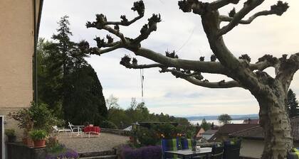 Holiday Apartment 'Mainau' with Terrace, Balcony and Wi-Fi