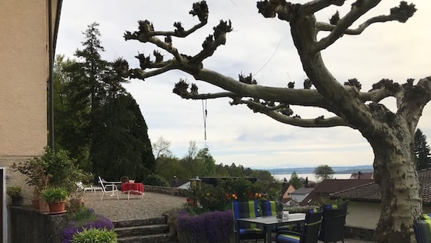 Une terrasse avec des meubles d’extérieur, un arbre et une vue sur le paysage.