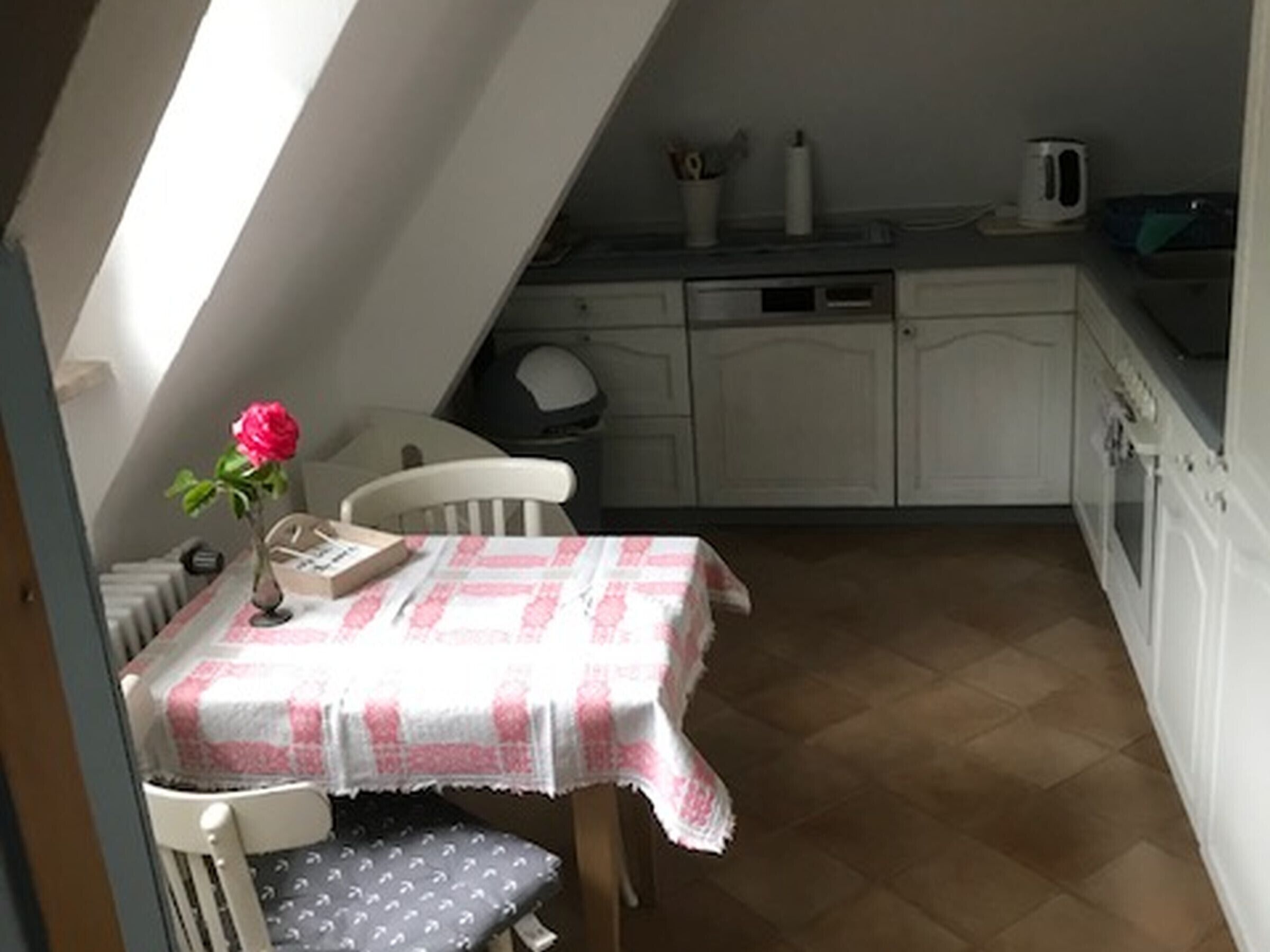 Kühlschrank, Ofen, Herdplatte, Geschirrspüler