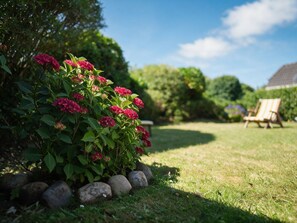 A garden with a hedge of pink flowers, a lawn, and a wooden chair. - Amselhaus - Beautiful 120 m² single-family home with 5 rooms and a large yard, suitable for up to (Sylt)