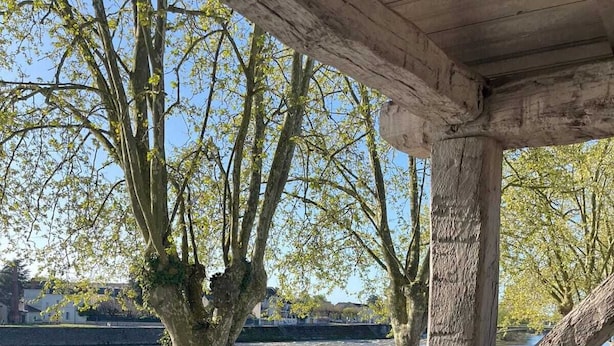 Un espace extérieur abrité offrant une vue sur une rivière et des arbres.