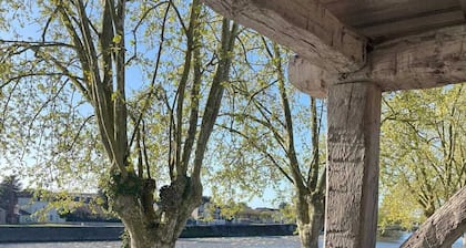 Apartment 80, 5* furnished tourist apartment - Vienne view