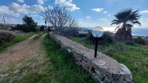 Un muro de piedra con un objeto esférico, cielo despejado y una palmera.