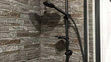 Shower, hair dryer, bidet, towels