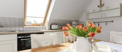 Fridge, oven, stovetop, dishwasher