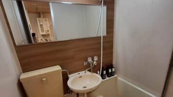 Apartment | Bathroom | Combined shower/bathtub, hair dryer, towels, shampoo