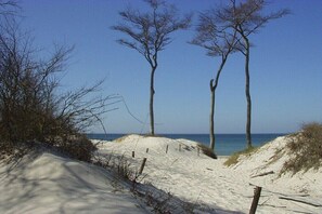 Beach - Holiday apartment with 1 bedroom (Prerow)