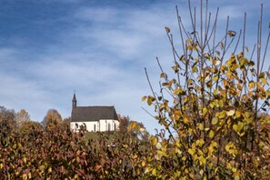 Miscellaneous - Stylish studio not far from the Eurotherme (Bad Schallerbach)